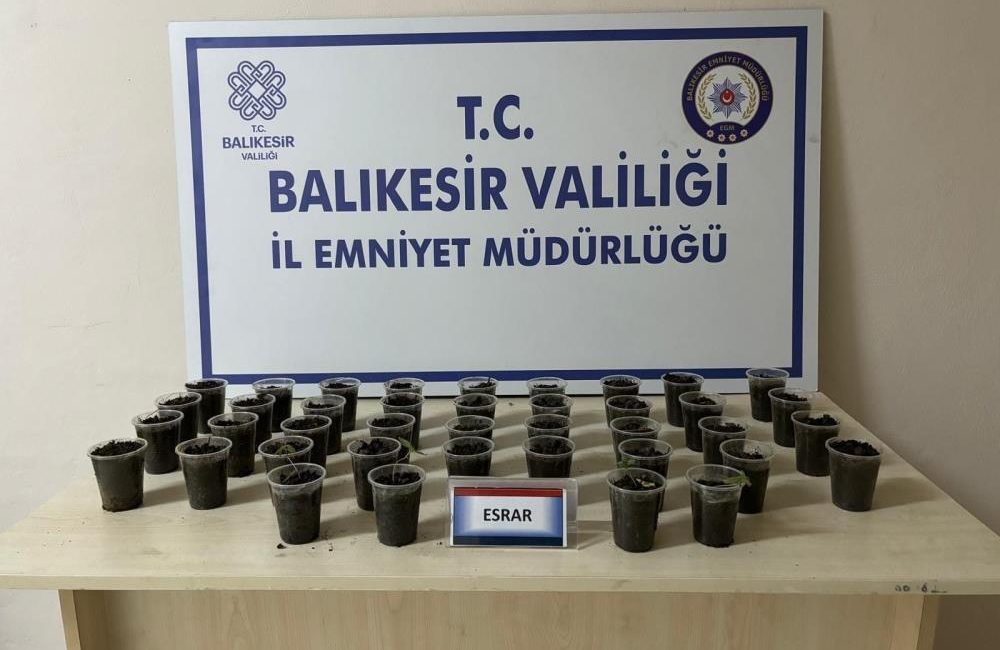 Erdek’te uyuşturucu operasyonu Erdek’te evinde esrar yetiştirdiği tespit edilen bir şahıs, yapılan operasyon