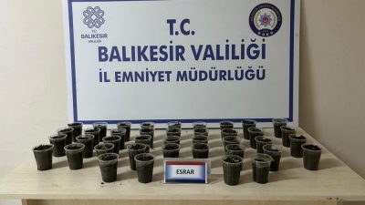 Erdek’te evinde esrar yetiştirdiği tespit edilen bir şahıs, yapılan operasyon