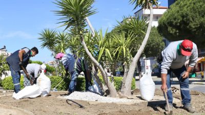 Burhaniye Belediyesi Park ve Bahçeler Müdürlüğü ekipleri, ilçe genelinde yoğun