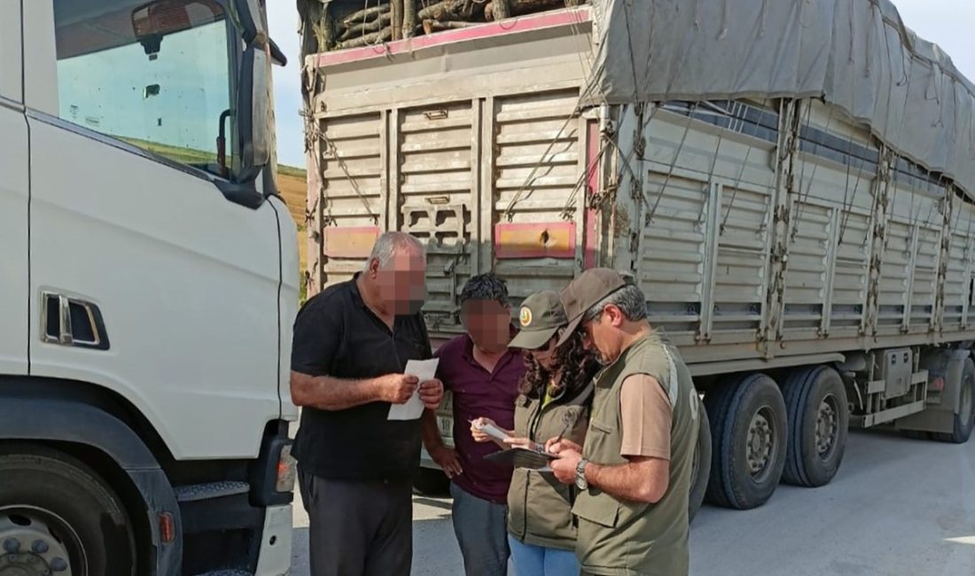 Balıkesir Orman Genel Müdürlüğü koordinasyonunda Bandırma’da orman suçlarına karşı araçlar