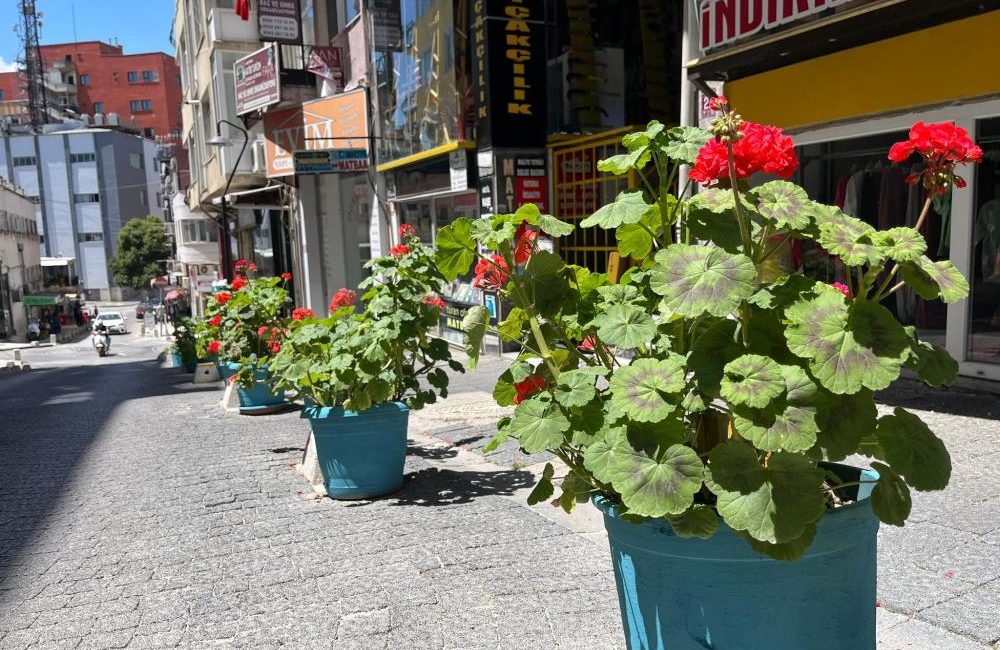  Bandırma’da kadın elinin değdiği sokak, deyim yerindeyse çiçek bahçesine döndü.Bandırma’nın