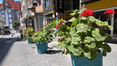  Bandırma’da kadın elinin değdiği sokak, deyim yerindeyse çiçek bahçesine döndü.Bandırma’nın