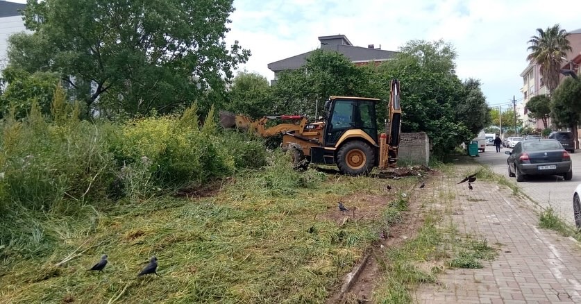 Bandırma Belediyesi, çevrenin temiz tutulması ve hijyenik bir ortamda yaşam