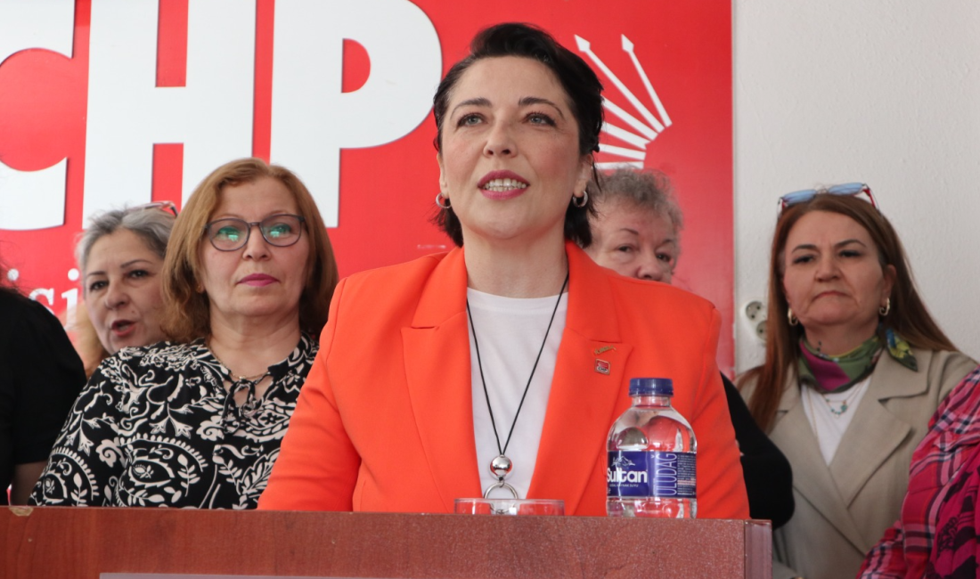 CHP Bandırma Kadın Kolları Yönetim Kurulu Üyesi Filiz Özdemir basın