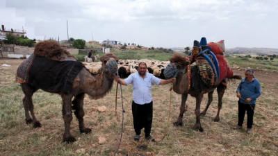 Adıyaman’da fiyatları 200 ile 300 bin TL arasında değişen kurbanlık