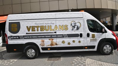 Balıkesir’in 20 ilçesinde düzenli olarak sokak hayvanlarına sağlık taraması, iç-dış