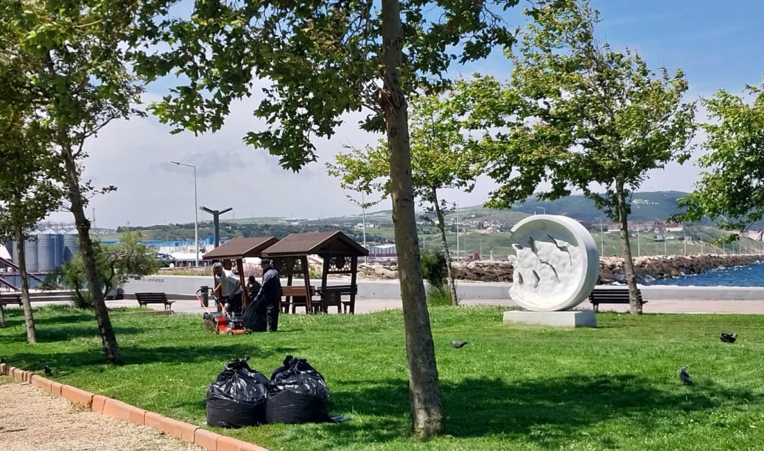 Bandırma sahilinde Bandırma Belediyesi tarafından yapılan çim biçme çalışmaları ile
