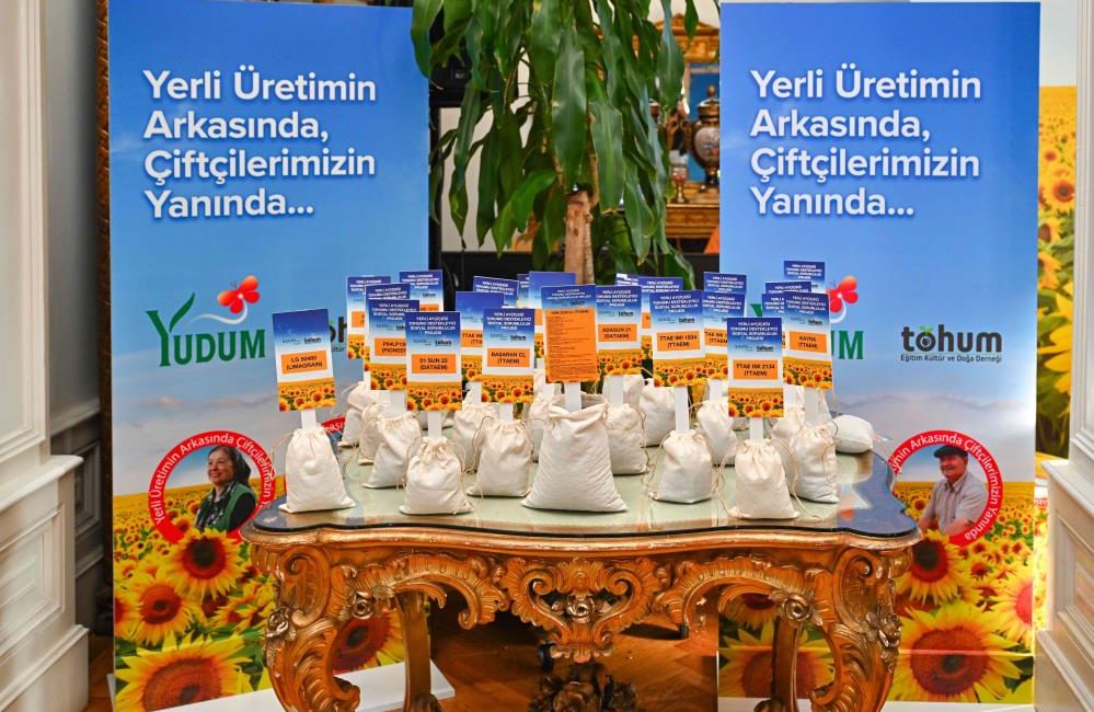 Yüzde 100 yerli ayçiçek tohumu Türk tarımına kazandırıldı Yudum ve Tohum Derneği’nin 4 sene önce başlattığı proje kapsamında