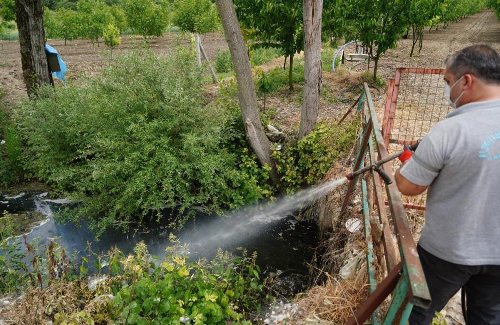 Altıeylül Belediyesi’nden sivrisinek ve haşerelere karşı ilaçlama Altıeylül Belediyesi Sağlık İşleri Müdürlüğü’ne bağlı ekipler, 81 kırsal ve