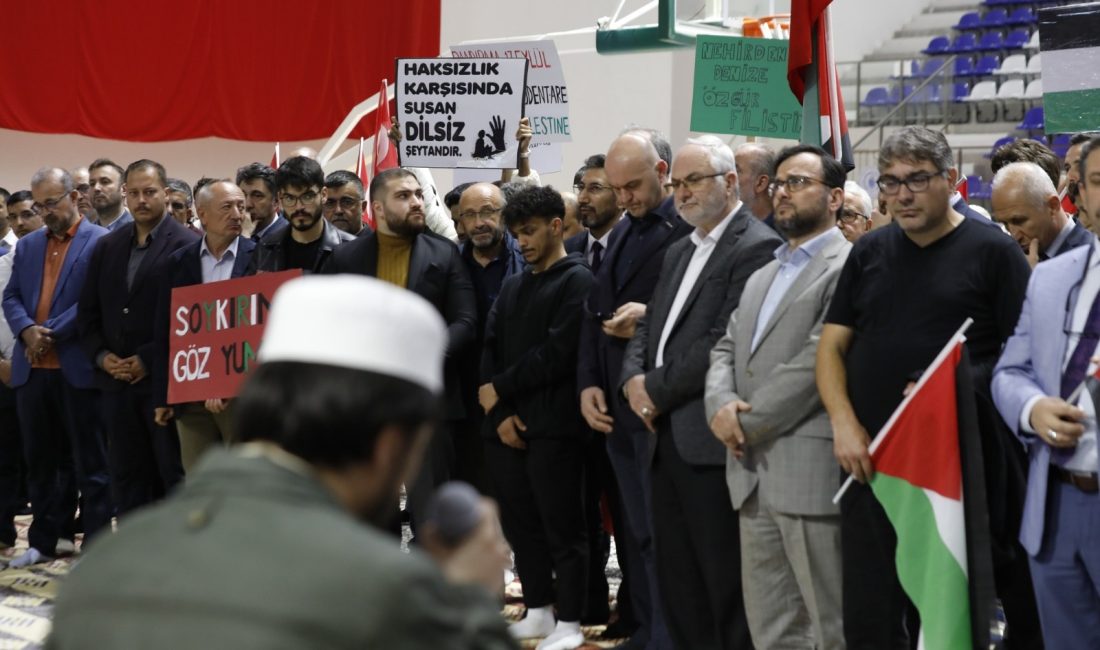 Bandırma Onyedi Eylül Üniversitesi