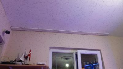 Manyas’a bağlı kırsal Kocagöl Mahallesi’ni sivrisinekler istila etti.Manyas’ta akşam üzeri