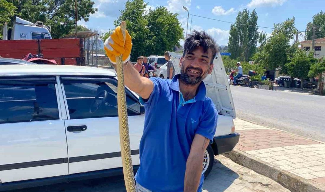 Otomobilin motor kısmından engerek yılanı çıktı Çanakkale’nin Bayramiç ilçesinde kamyon garajında bir otomobilin motor kısmında zehirli