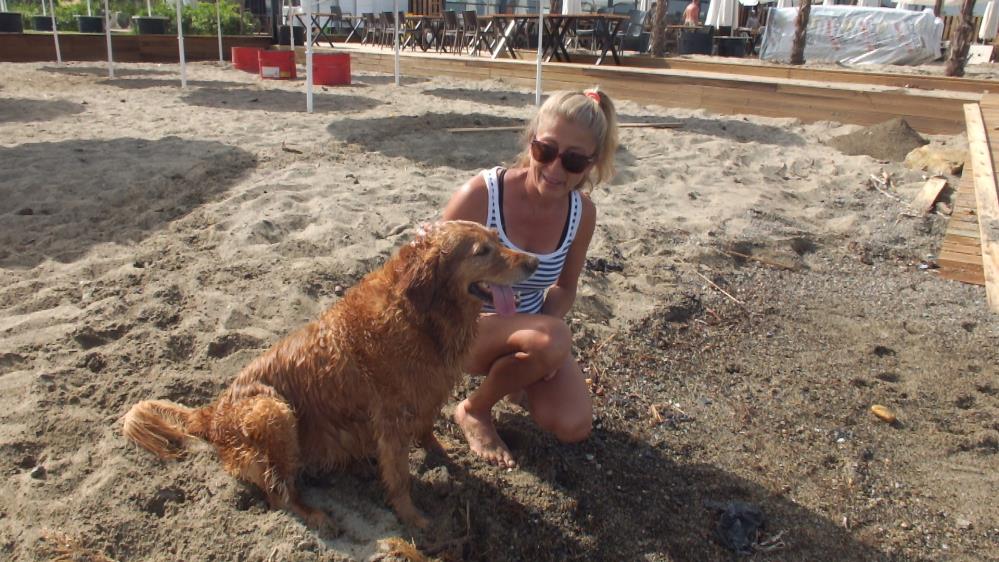 Balıkesir’de ‘Grim’ köpeğin deniz keyfi Burhaniye’de, havaların ısınmasıyla birlikte sahiller insanlarla dolup taşarken, köpekler de
