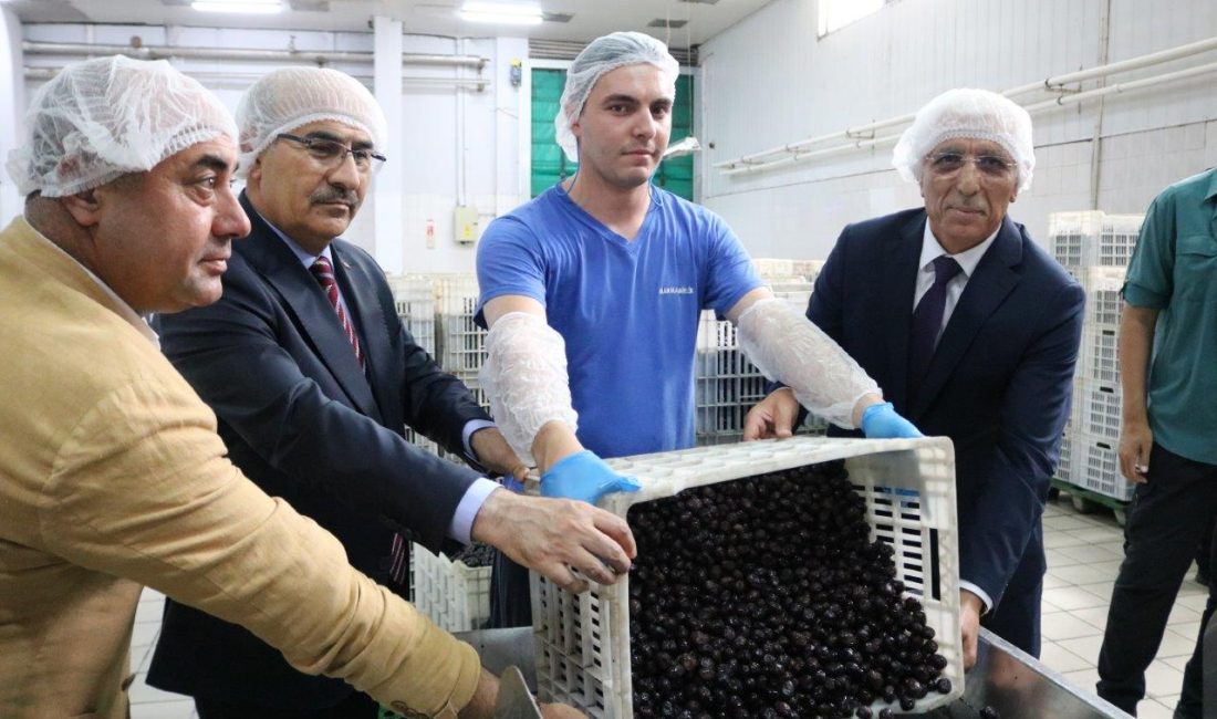 Bursa Valisi Mahmut Demirtaş Marmarabirlik’i ziyaret etti. Vali Demirtaş’a Bursa