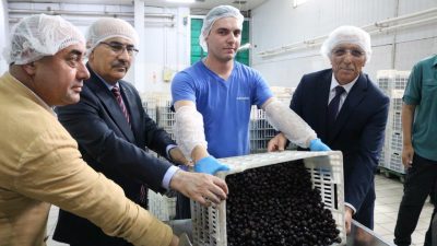 Bursa Valisi Mahmut Demirtaş Marmarabirlik’i ziyaret etti. Vali Demirtaş’a Bursa
