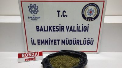 Emniyet Müdürlüğünün gerçekleştirdiği operasyonda 300 gram uyuşturucu ele geçirildi. Narkotik
