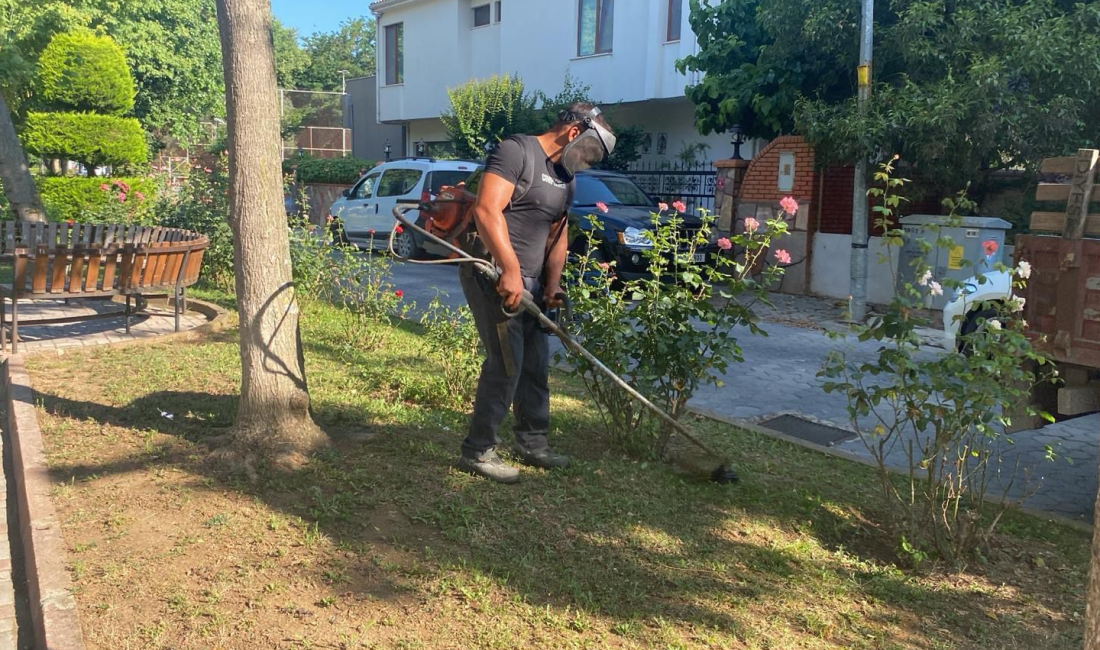 Gönen sokakları dip bucak temizlendi Gönen’de belediye ekipleri tarafından ilçe genelinde kapsamlı temizlik çalışması yapıldı.