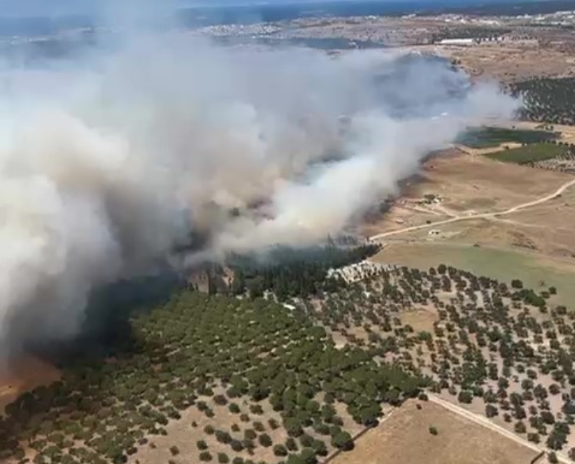 Ayvalık’ta çöplükte çıkan yangın otluk araziye sıçradı Ayvalık’ta çöplükte başlayan yangın araziye sıçradı. Yangına Edremit Orman İşletme