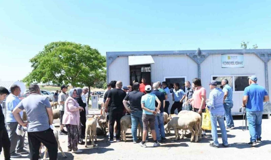 Altıeylül Belediyesi Hayvan Pazarı’nda küçükbaş hayvan kesim hizmeti verecek Altıeylül Belediyesi, vatandaşların sağlıklı, mutlu ve huzurlu bir Kurban Bayramı