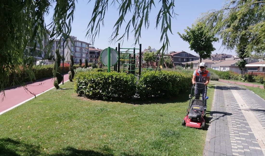 Bandırma’da yeşil alan seferberliği Bandırma Belediyesi tarafından yürütülen çalışmalar kapsamında yeşillik alanlarda bakım ve