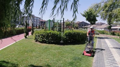 Bandırma Belediyesi tarafından yürütülen çalışmalar kapsamında yeşillik alanlarda bakım ve