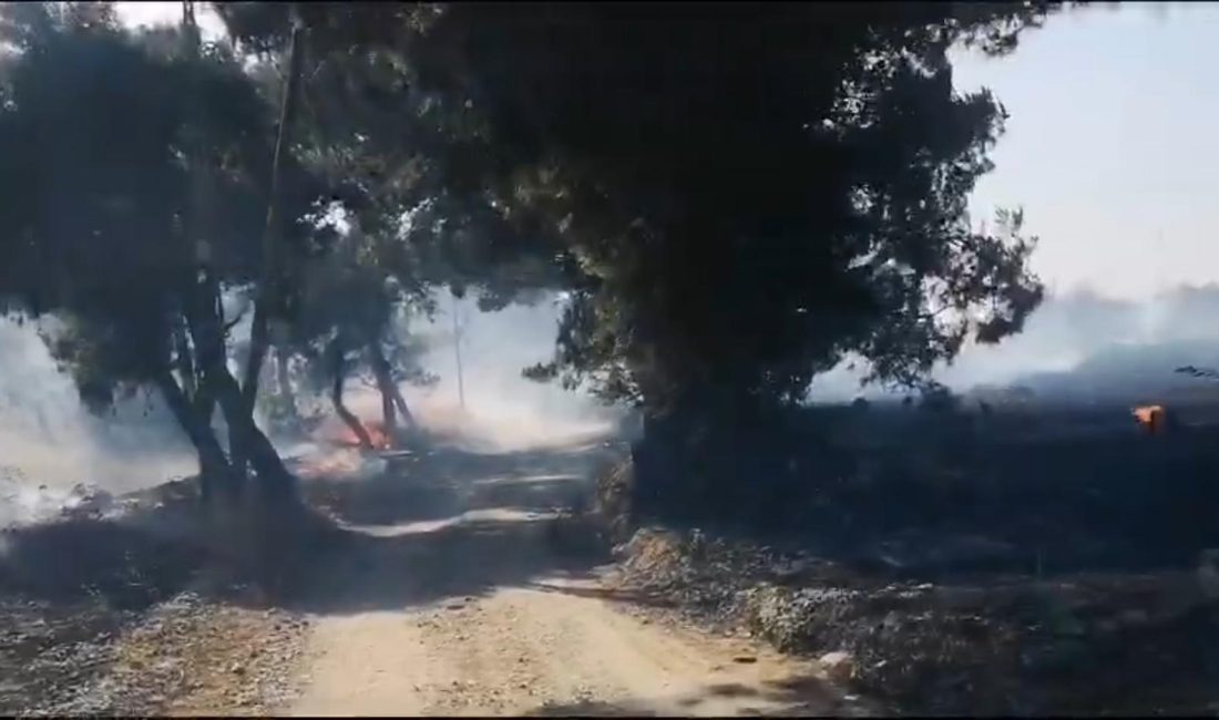 Savaştepe’de arazi yangını ormana sıçradı Savaştepe’de otluk alanda başlayan yangın ormanlık alana sıçradı. Savaştepe ilçesine bağlı