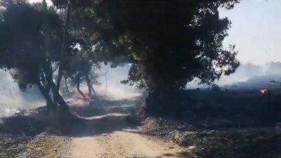 Savaştepe’de otluk alanda başlayan yangın ormanlık alana sıçradı. Savaştepe ilçesine bağlı