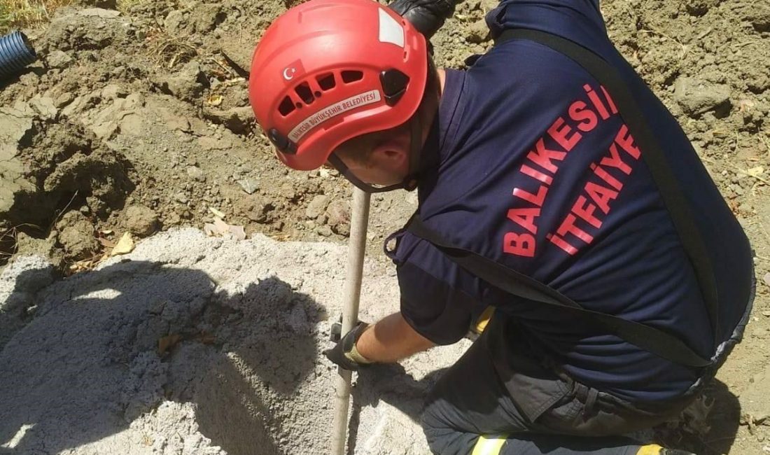 Erdek'te &ccedil;ukura d&uuml;şen yavru domuz itfaiye ekipleri tarafından kurtarıldı. Erdek&rsquo;e