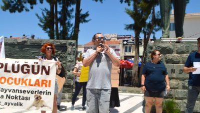 Ayvalık’ta sokak hayvanları için miting düzenlendi. Mitinge katılan ünlü sunucu