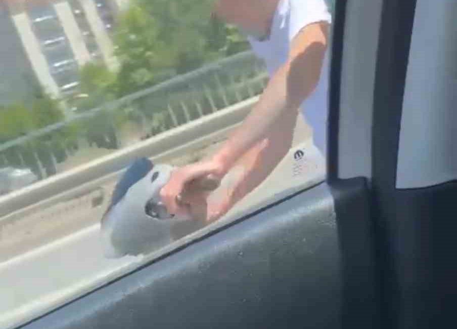 Kartal’da yayaya yol veren sürücüye saldırmaya çalışan trafik magandaları kamerada Kartal’da bir kamyonet sürücüsü, yayaya yol verdiği gerekçesiyle sinirlendiği otomobil