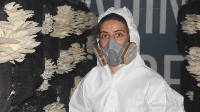 Sivas&rsquo;ın Zara il&ccedil;esinde &lsquo;istiridye mantarı&rsquo; &uuml;retimi yapan iki kardeş b&ouml;lge