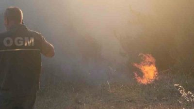 Susurluk’ta ormanlık alanda yangın çıktı. Edinilen bilgiye göre, Susurluk,Çaylak mevkiindeki