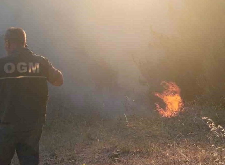 Susurluk’ta orman yangını Susurluk’ta ormanlık alanda yangın çıktı. Edinilen bilgiye göre, Susurluk,Çaylak mevkiindeki