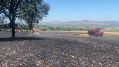 Gönen’de buğday ekili tarlada çıkan yangın sonucu 35 ton buğday