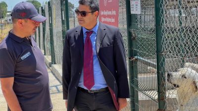 Müdür Yardımcısı Koray Poyraz, Bandırma Koyunculuk Araştırma Enstitüsü Müdür Vekili