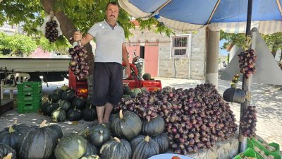 Erdek’te, Coğrafi İşareti bulunan ‘Kapıdağ Mor Soğanı’, temmuz ayı itibariyle