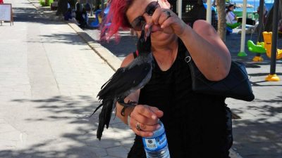 Erdek’te tatil yapmak için Bursa’dan kargasıyla gelen bir tatilci renkli