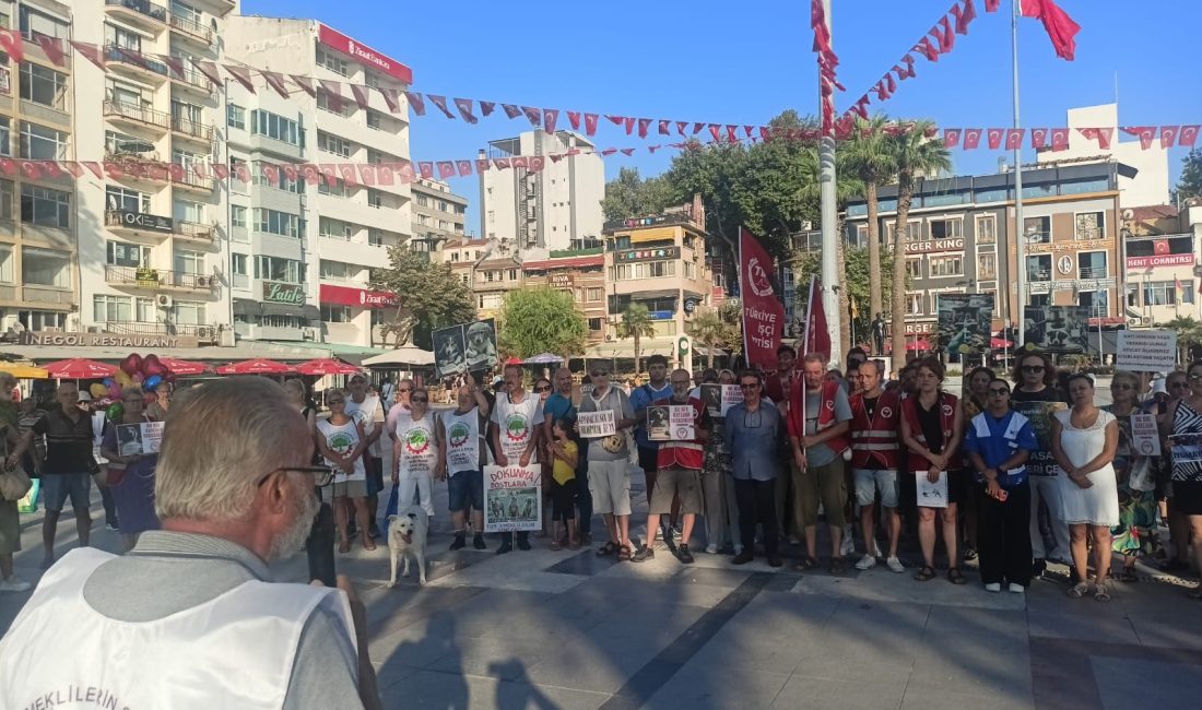 “Çıkarılmak istenen yasa, hayvanların katledilme yasası” Türkiye İşçi Partisi (TİP) Bandırma İlçe Başkanlığı, sokak hayvanlarına “ötanazi”