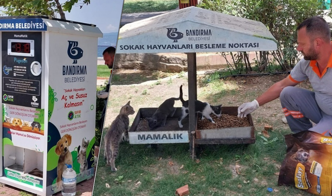Bandırma Belediyesi, yaz sıcakları dolayısıyla sokak hayvanları için konulan suluk