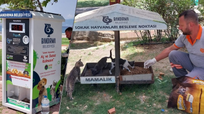 Bandırma Belediyesi, yaz sıcakları dolayısıyla sokak hayvanları için konulan suluk