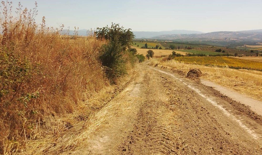 Çiftçiler için tarla yollarında genişletme çalışmaları Gönen’de çiftçilerin hasatlarını güvenli ve verimli yapmaları amacıyla tarla yollarında