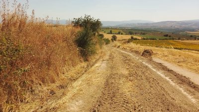 Gönen’de çiftçilerin hasatlarını güvenli ve verimli yapmaları amacıyla tarla yollarında