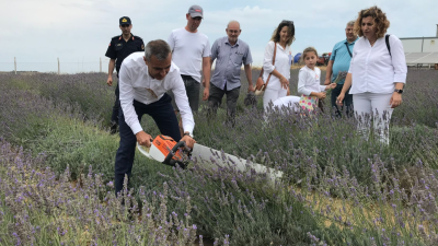 Erdek Kaymakamı Atakan Atasoy, Paşalimanı Adası Harmanlı Mahallesi’nde düzenlenen lavanta