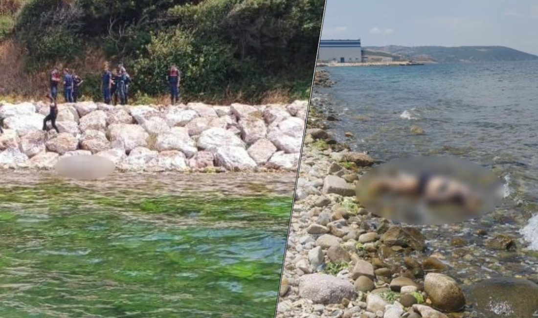 Erdek’te denizde kaybolan kadının cansız bedenine ulaşıldı Erdek’te Askeri Kamp bölgesi sahilinde denizde kaybolan Türk Silahlı Kuvvetleri
