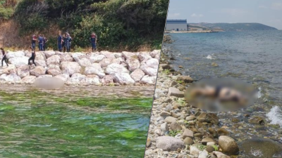 Erdek’te Askeri Kamp bölgesi sahilinde denizde kaybolan Türk Silahlı Kuvvetleri