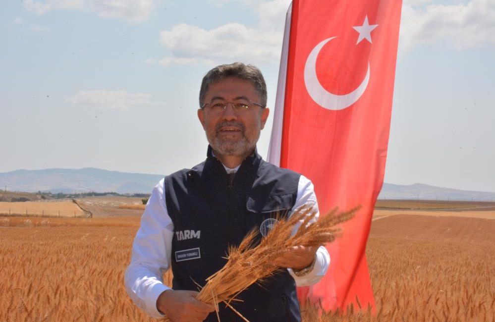 Bakan Yumaklı, yerli buğday tohumlarının hasadına katıldı Tarım ve Orman Bakanı İbrahim Yumaklı, Tarımsal Araştırmalar ve Politikalar