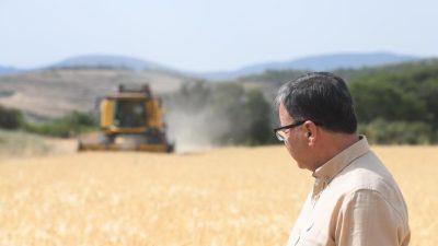 Altıeylül Belediyesi’nin tarlalarında ilk hasat, Belediye Başkanı Hakan Şehirli tarafından