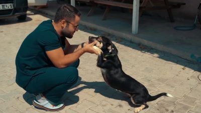 Bandırma’da Temizlik İşleri Müdürlüğü personeli tarafından çöp konteynırında yaralı halde