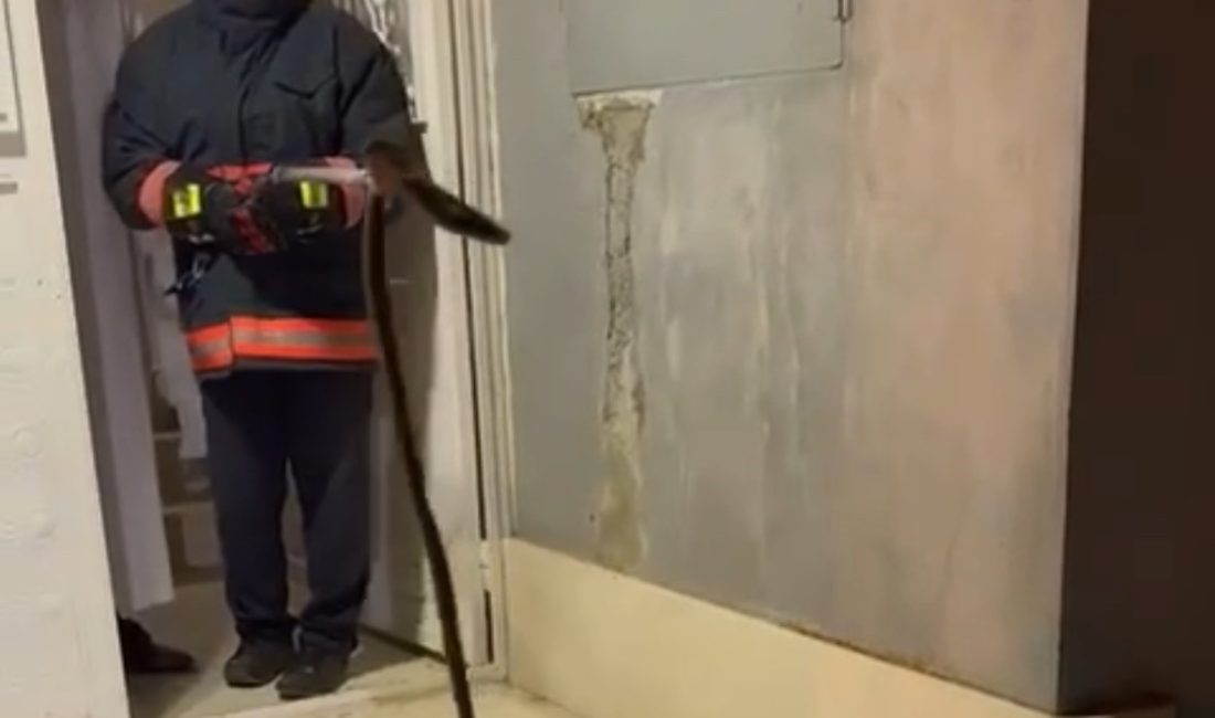 Binaya giren yılan korkttu Mardin’in Nusaybin ilçesinde bir binaya giren yılan, korku dolu anlar