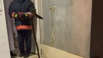 Mardin’in Nusaybin ilçesinde bir binaya giren yılan, korku dolu anlar